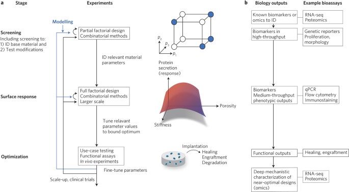 Leveraging Advances In Biology To Design Biomaterials Nature Materials