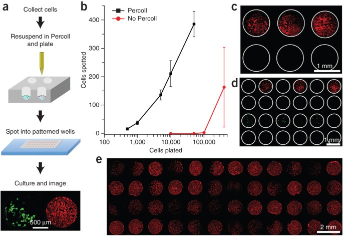 figure1