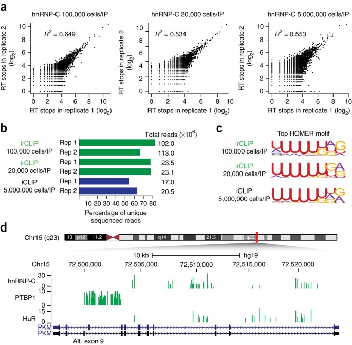 Diagnose industrialisere strategi irCLIP platform for efficient characterization of protein–RNA interactions  | Nature Methods