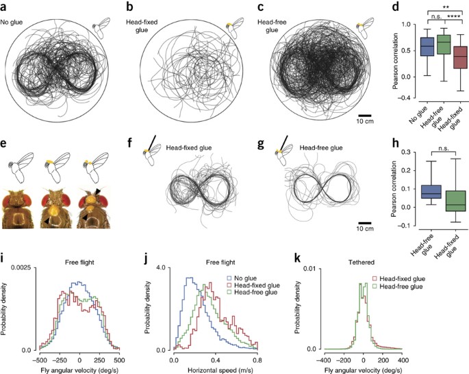 Virtual Reality For Freely Moving Animals Nature Methods