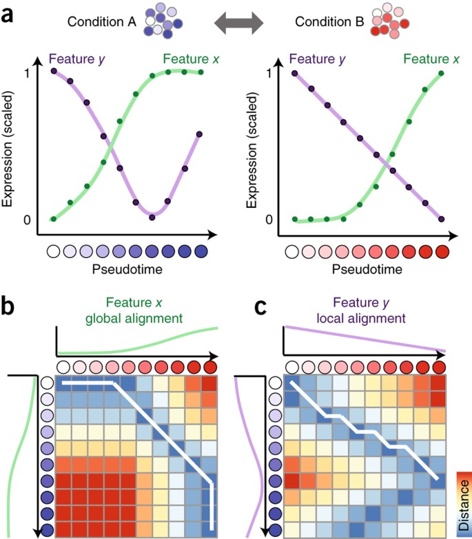 Alignment Of Single Cell Trajectories To Compare Cellular Expression Dynamics Nature Methods