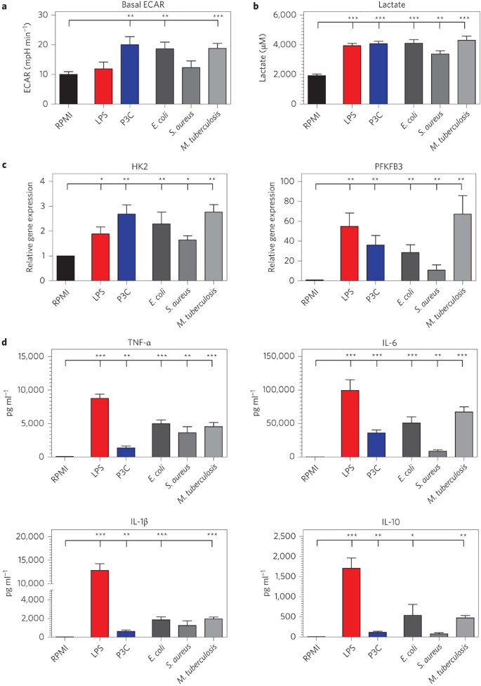 Microbial Stimulation Of Different Toll Like Receptor Signalling Pathways Induces Diverse Metabolic Programmes In Human Monocytes Nature Microbiology