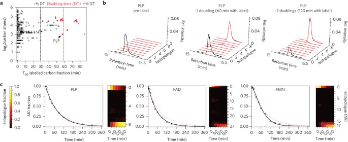 Longevity Of Major Coenzymes Allows Minimal De Novo Synthesis In Microorganisms Nature Microbiology