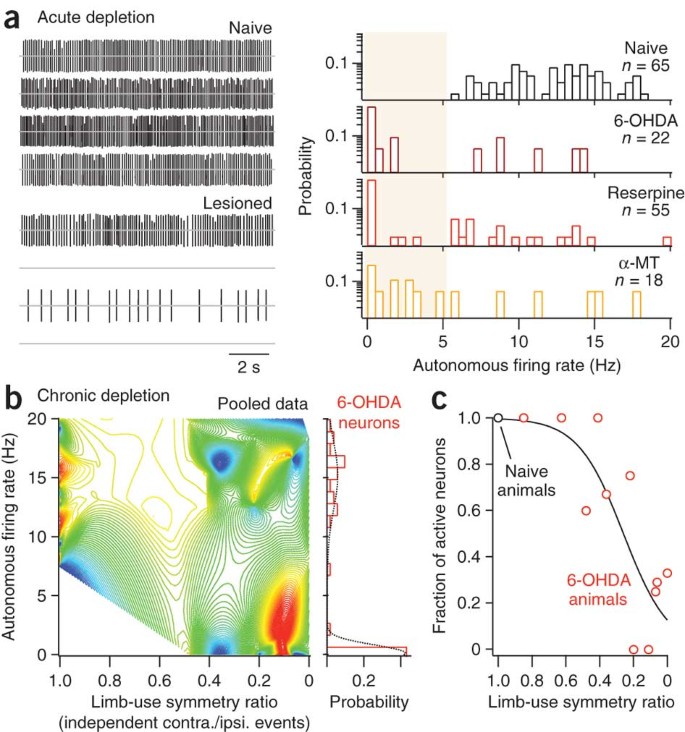 Hcn Channelopathy In External Globus Pallidus Neurons In Models Of Parkinson S Disease Nature Neuroscience