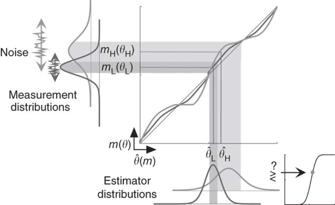 Cardinal Rules Visual Orientation Perception Reflects Knowledge Of Environmental Statistics Nature Neuroscience
