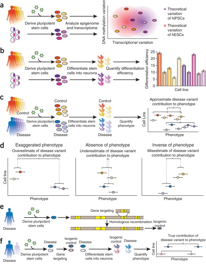 opportunities and challenges of pluripotent stem cell neurodegenerative disease models nature neuroscience