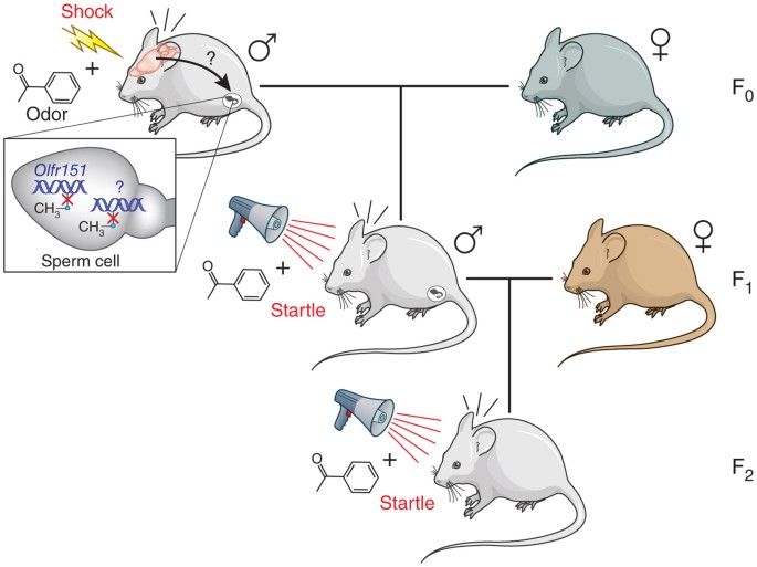 figure1