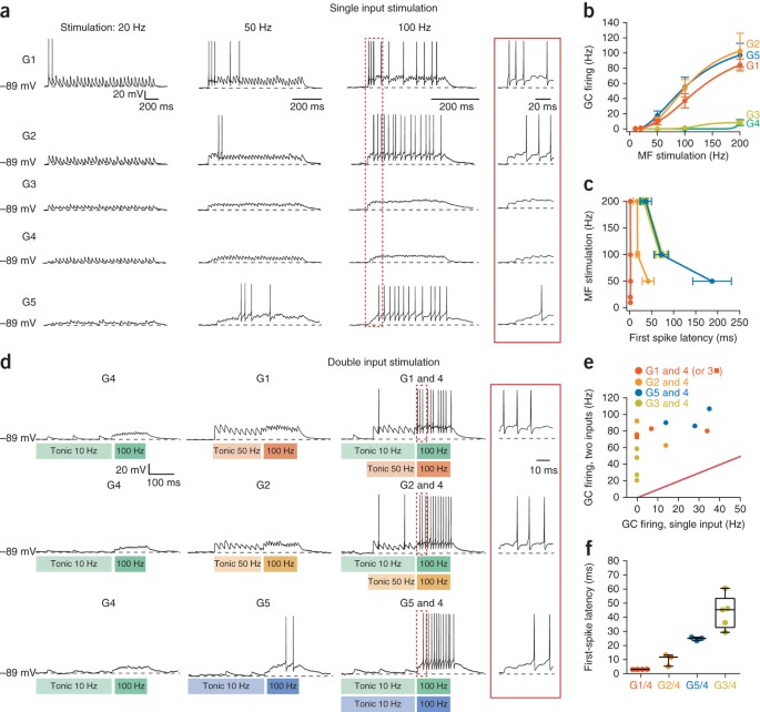 Synaptic Diversity Enables Temporal Coding Of Coincident Multisensory Inputs In Single Neurons Nature Neuroscience Synaptic Diversity Enables Temporal Coding Of Coincident Multisensory Inputs In Single Neurons Nature Neuroscience