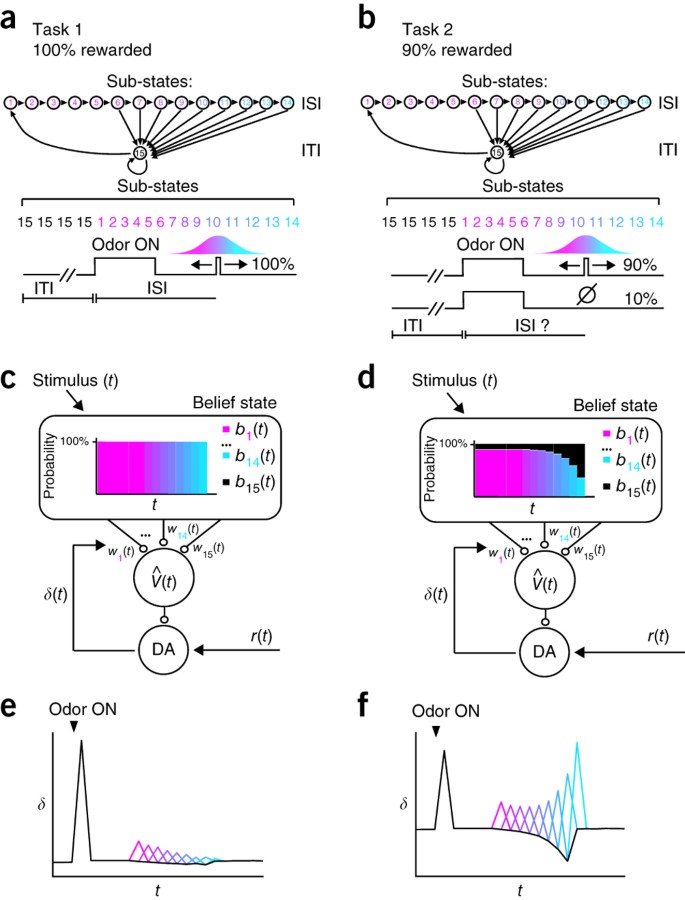 Dopamine Reward Prediction Errors Reflect Hidden State Inference Across Time Nature Neuroscience