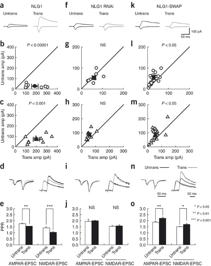 Retrograde Modulation Of Presynaptic Release Probability Through Signaling Mediated By Psd 95 Neuroligin Nature Neuroscience