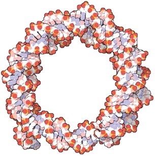dna off the hooke nature nanotechnology