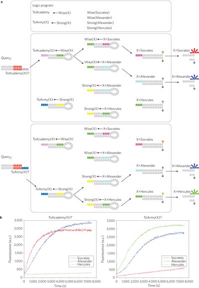 Molecular Implementation Of Simple Logic Programs Nature Nanotechnology