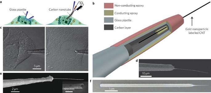 1000 Nano Whole House For Home Homespring