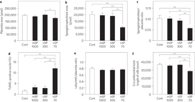 Silica and pregnancy
