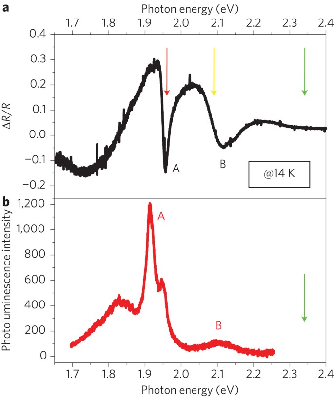 Control of valley polarization in monolayer MoS2 by optical helicity |  Nature Nanotechnology