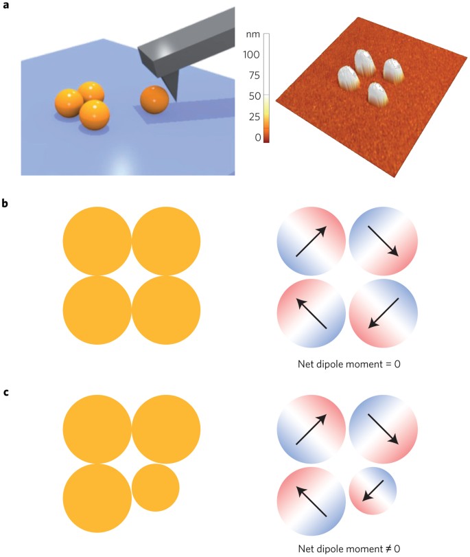 which is right and left in ring and tip which is right and left in ring and tip