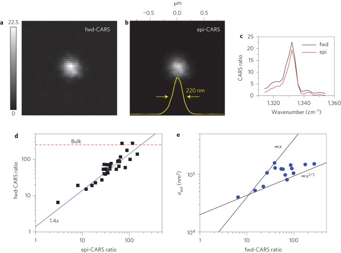 Coherent Anti Stokes Raman Scattering Microscopy Of Single Nanodiamonds Nature Nanotechnology