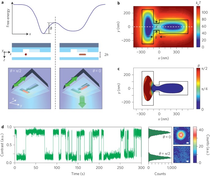 Information storage and retrieval in a single levitating colloidal particle  | Nature Nanotechnology