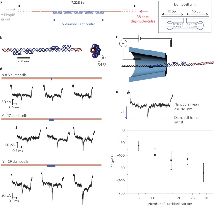 Digitally encoded DNA nanostructures for multiplexed, single-molecule protein sensing with nanopores