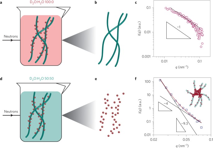 Amyloid Fibril Systems Reduce Stabilize And Deliver Bioavailable Nanosized Iron Nature Nanotechnology Amyloid Fibril Systems Reduce Stabilize And Deliver Bioavailable Nanosized Iron Nature Nanotechnology