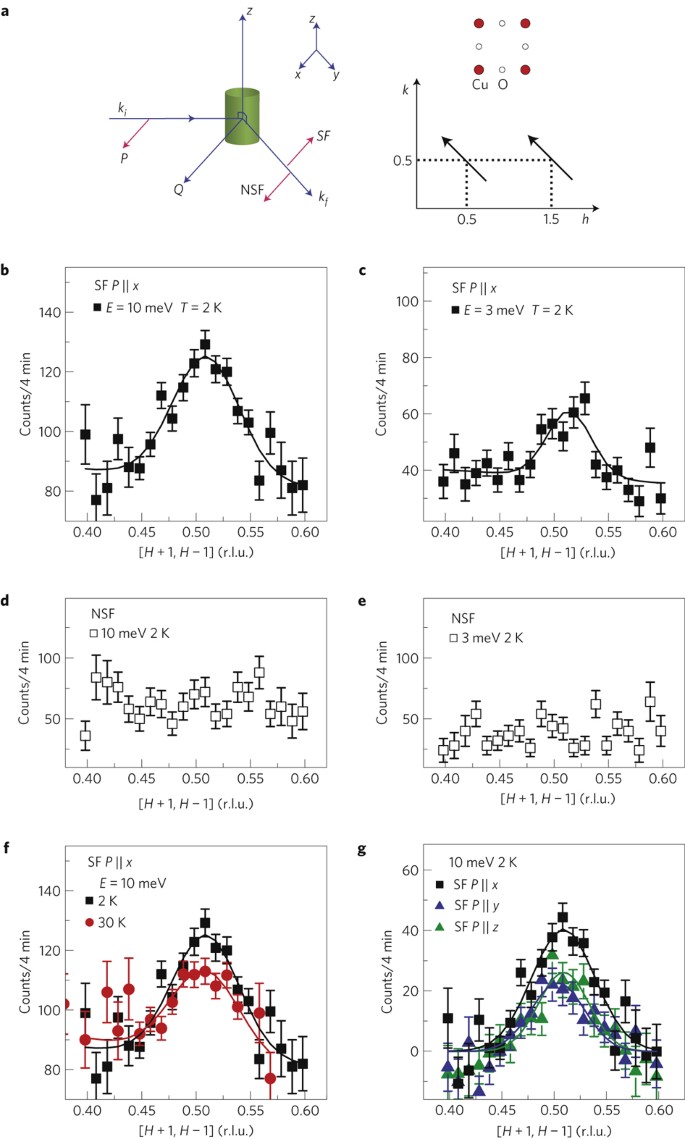 Electron Spin Excitation Coupling In An Electron Doped Copper Oxide Superconductor Nature Physics