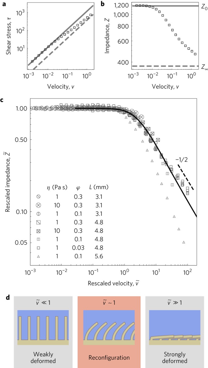 Nonlinear Flow Response Of Soft Hair Beds Nature Physics