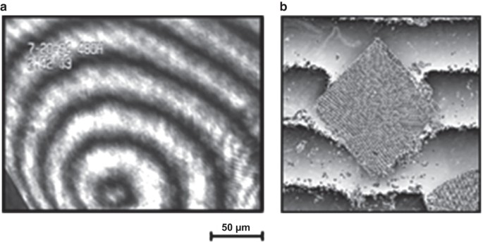 figure 22