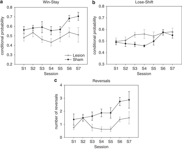 Serotonin Modulates Sensitivity to Reward and Negative Feedback in a  Probabilistic Reversal Learning Task in Rats | Neuropsychopharmacology