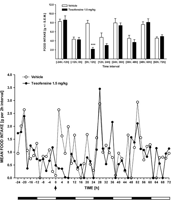 b12 injection effects on body Vitamin B12 Injection Side Effects and Safety