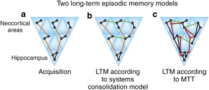 Update On Memory Systems And Processes Neuropsychopharmacology