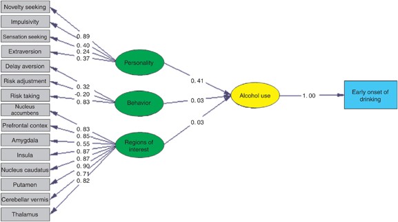 Determinants of Early Alcohol Use In Healthy Adolescents: The Differential  Contribution of Neuroimaging and Psychological Factors |  Neuropsychopharmacology