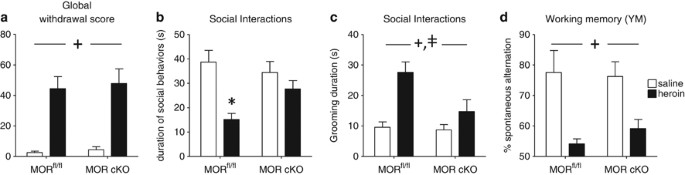 Distinct Mu, Delta, and Kappa Opioid Receptor Mechanisms Underlie Low  Sociability and Depressive-Like Behaviors During Heroin Abstinence |  Neuropsychopharmacology