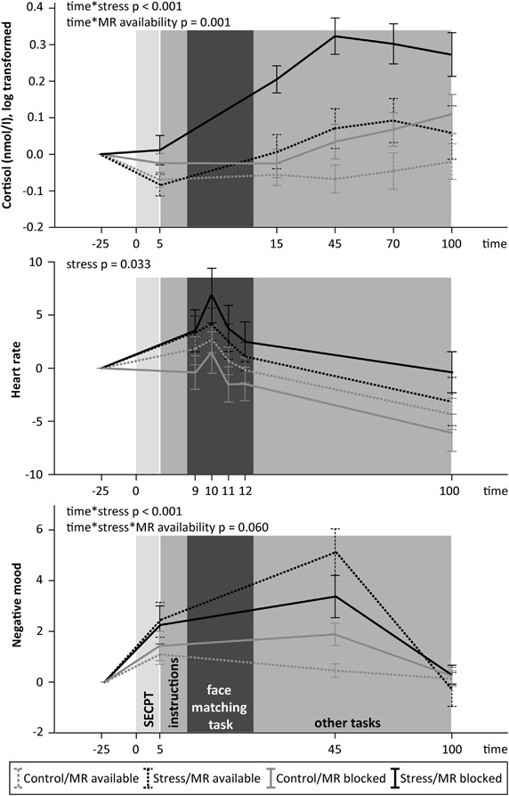 Blocking The Mineralocorticoid Receptor In Humans Prevents The Stress Induced Enhancement Of Centromedial Amygdala Connectivity With The Dorsal Striatum Neuropsychopharmacology