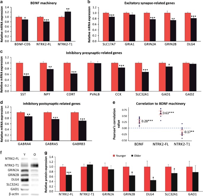 side effects of copper peptide ghk cu Selected Biomarkers Revealed Potential Skin Toxicity Caused by Certain  Copper Compounds