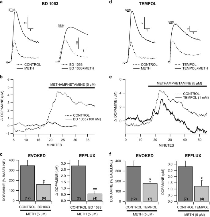 Methamphetamine Induces Dopamine Release in the Nucleus Accumbens Through a  Sigma Receptor-Mediated Pathway | Neuropsychopharmacology