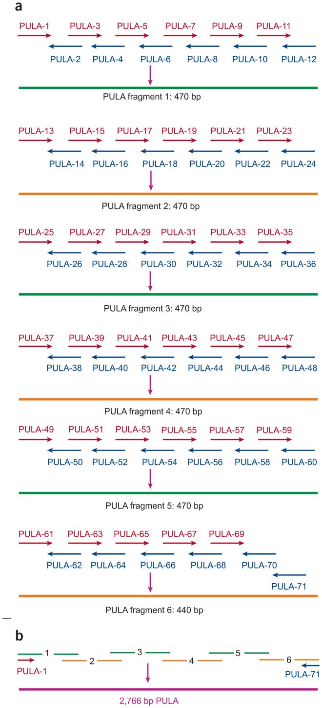Xm Pcr Control Program Xm Pcr Control Program