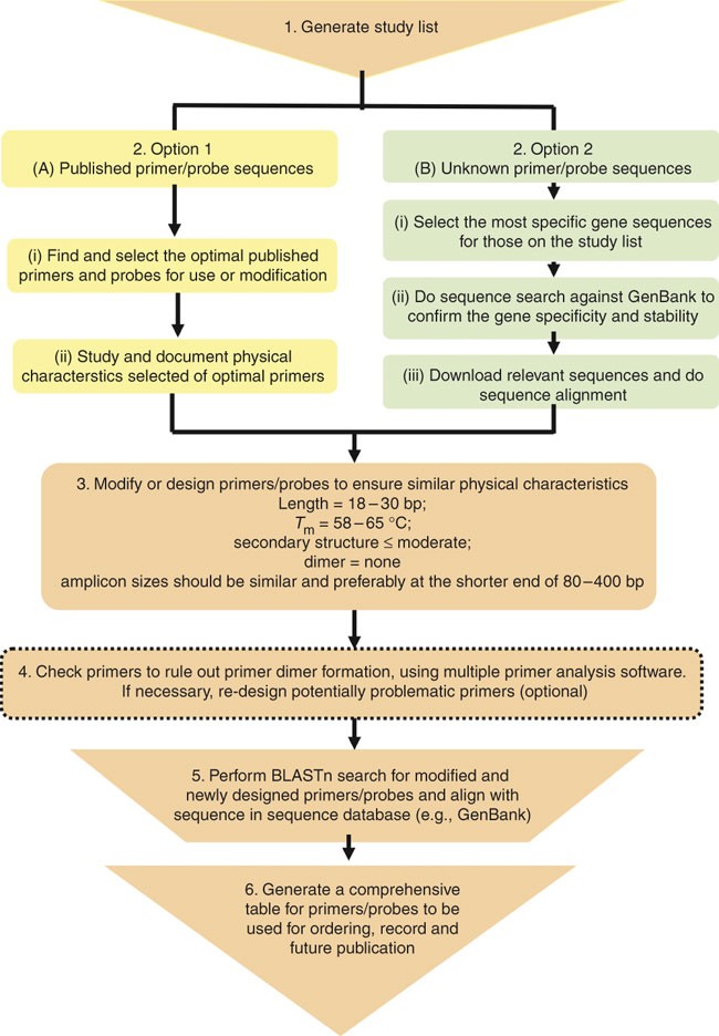 Multiplex PCR-based reverse line blot hybridization assay (mPCR/RLB)—a  practical epidemiological and diagnostic tool | Nature Protocols