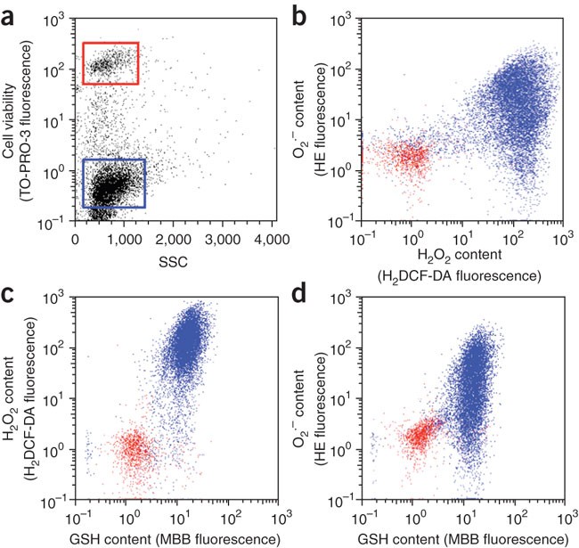 glutathione for cancer cells A study shows that the antioxidant glutathione feeds cancer cells