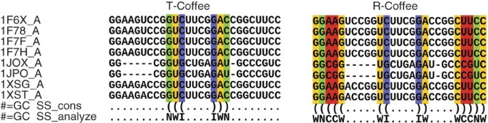 Using The T Coffee Package To Build Multiple Sequence Alignments Of Protein Rna Dna Sequences And 3d Structures Nature Protocols