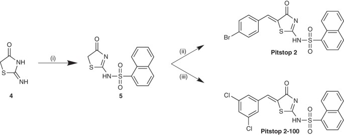 Synthesis of the Pitstop family of clathrin inhibitors | Nature Protocols