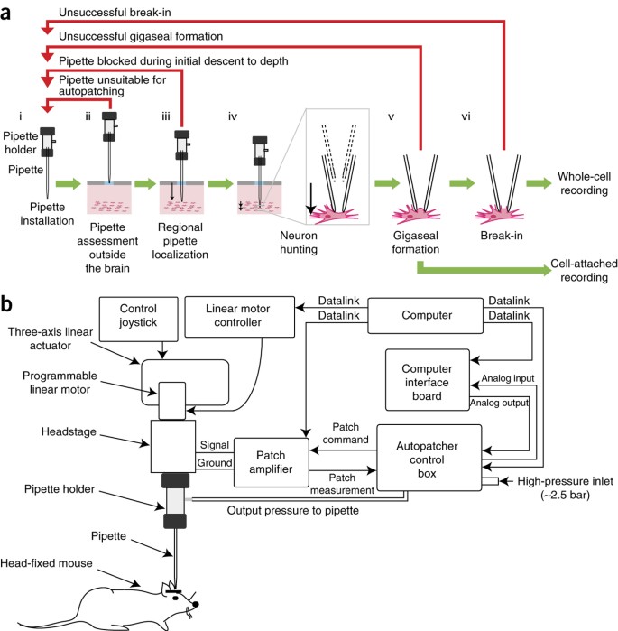 Assembly And Operation Of The Autopatcher For Automated Intracellular Neural Recording In Vivo Nature Protocols