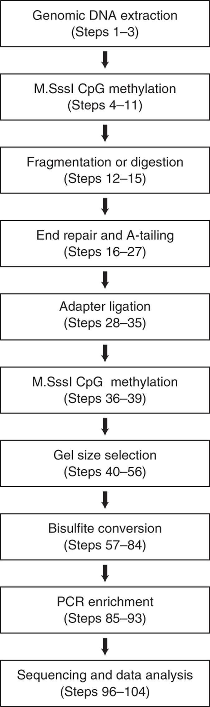 Methylation Assisted Bisulfite Sequencing To Simultaneously Map 5fc And 5cac On A Genome Wide Scale For Dna Demethylation Analysis Nature Protocols