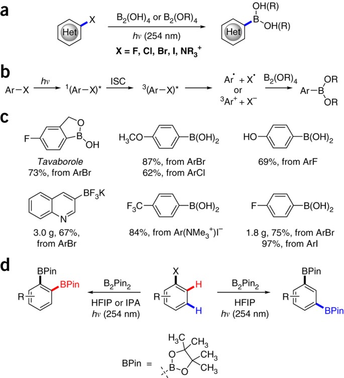 Metal And Additive Free Photoinduced Borylation Of Haloarenes Nature Protocols