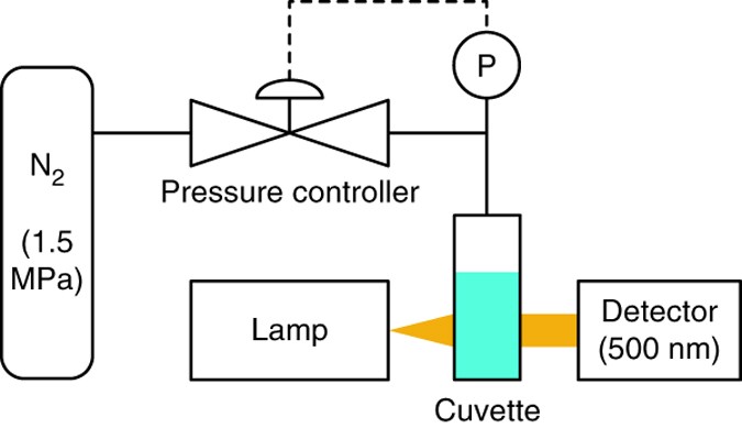 Preparation of biogenic gas vesicle nanostructures for use as 
