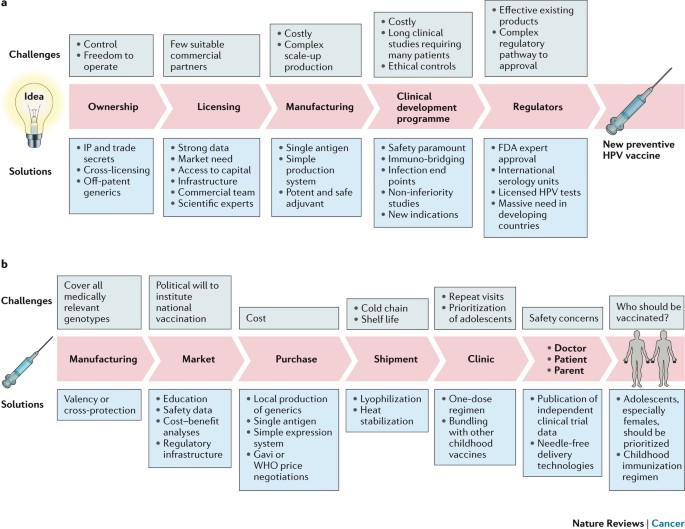 human papilloma virus survival outside body