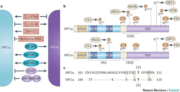 ipamorelin cjc 1295 vs tesamorelin Tesamorelin & CJC-1295 (Mod GRF 1-29) & Ipamorelin - 12MG