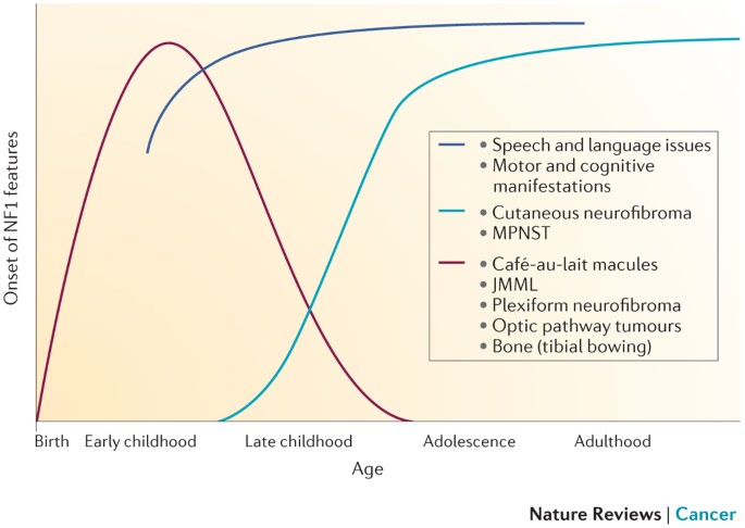 A Rasopathy Gene Commonly Mutated In Cancer The Neurofibromatosis Type 1 Tumour Suppressor Nature Reviews Cancer