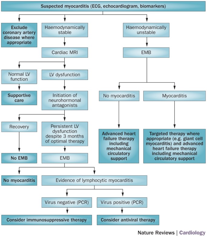 Cardiomyopathy: Symptoms & Treatment