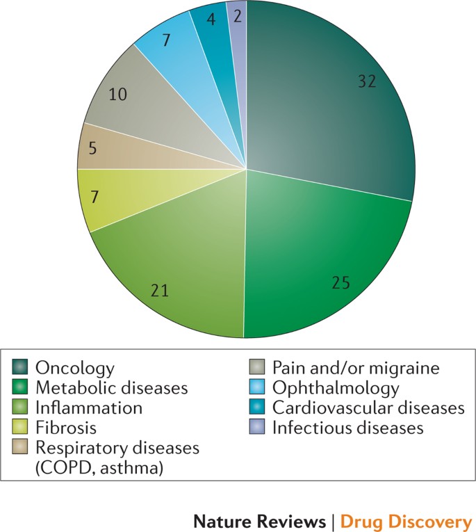 Opportunities for therapeutic antibodies directed at G-protein