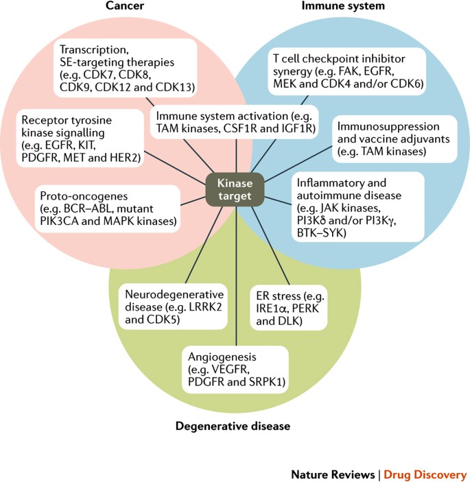 Kinase Inhibitors The Road Ahead Nature Reviews Drug Discovery